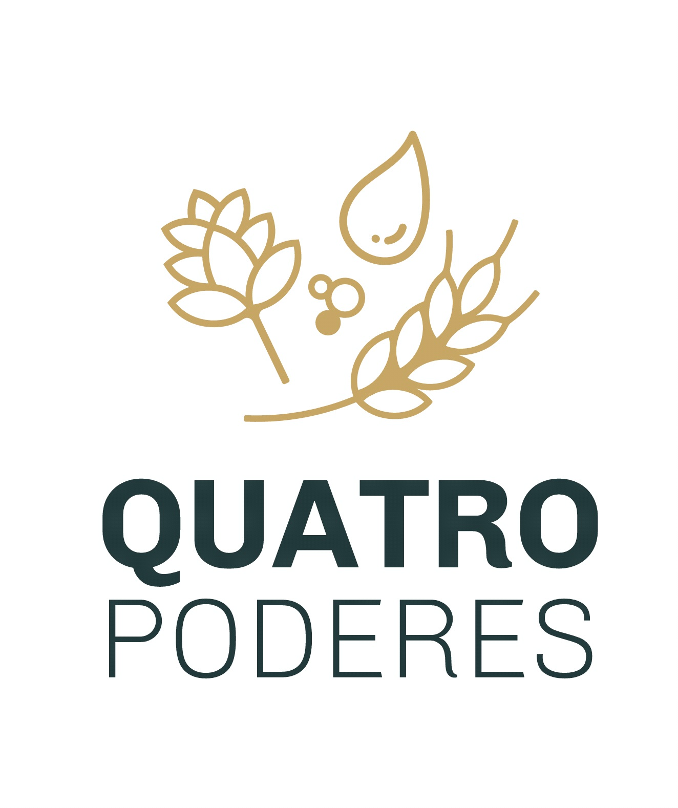 QP